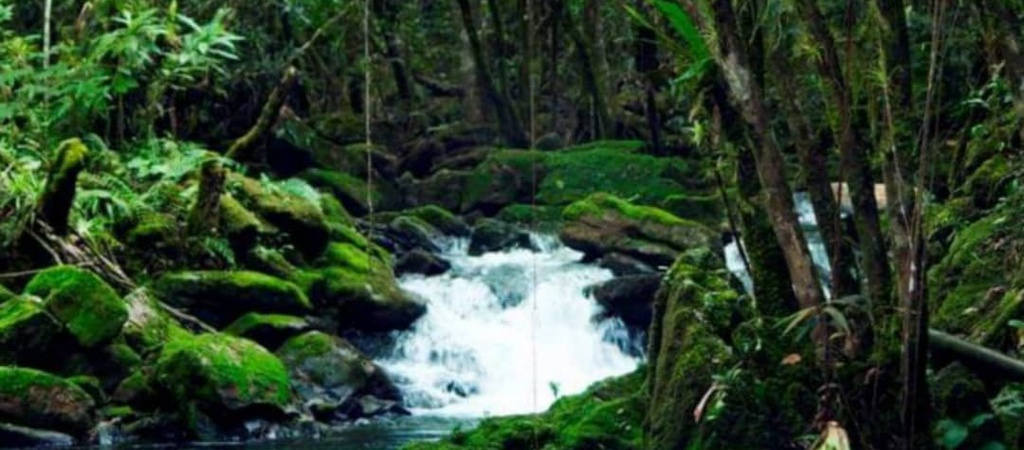 El Nicho: Un espectáculo natural en las montañas de Cuba