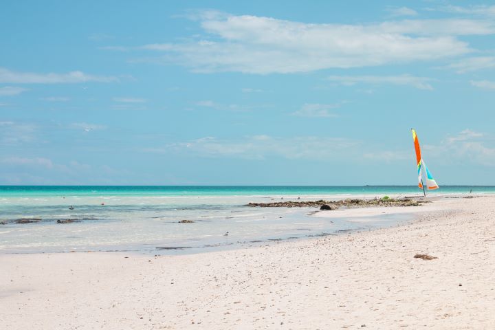 imagen de cayo