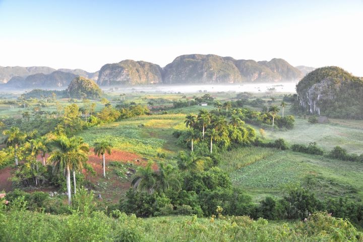Immagine di Cuba con la vegetazione di Viñales